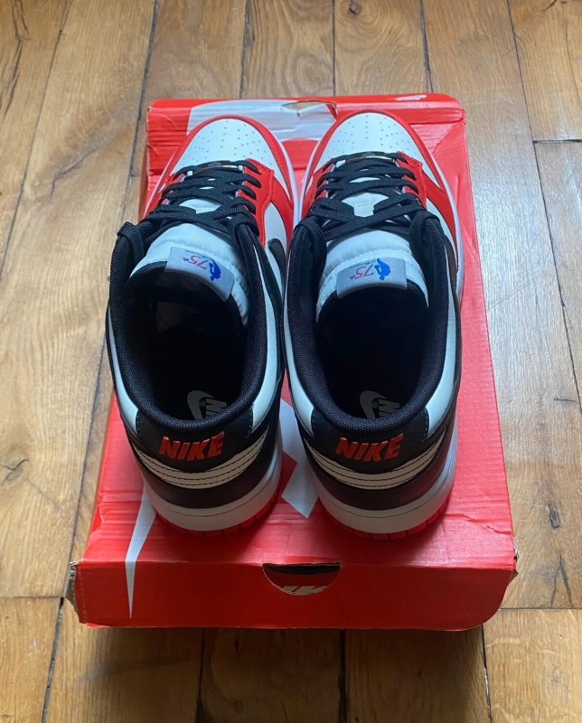 Nike dunk low EMB Chicago 75th NBA anniversary DD3363-100 2