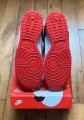 Nike dunk low EMB Chicago 75th NBA anniversary DD3363-100