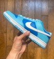 Nike dunk low QS retro argon (2022) DM0121-400