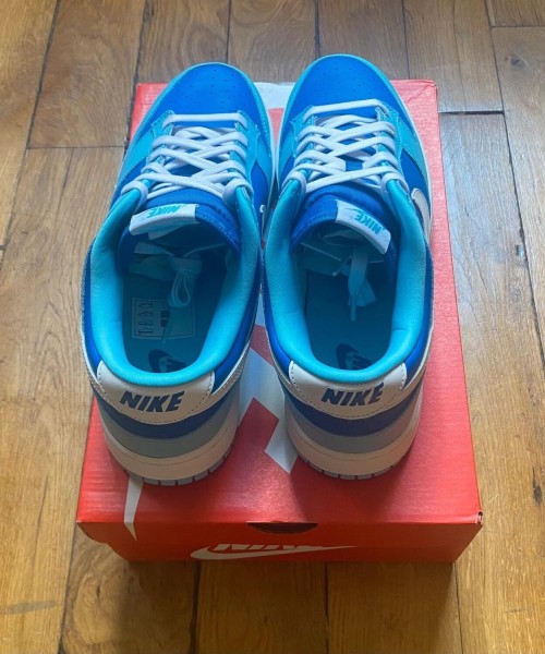 Nike dunk low QS retro argon (2022) DM0121-400