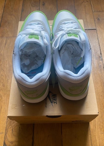 Nike air max 1 patta 20th anniversary green chlorophyll HF1012-300