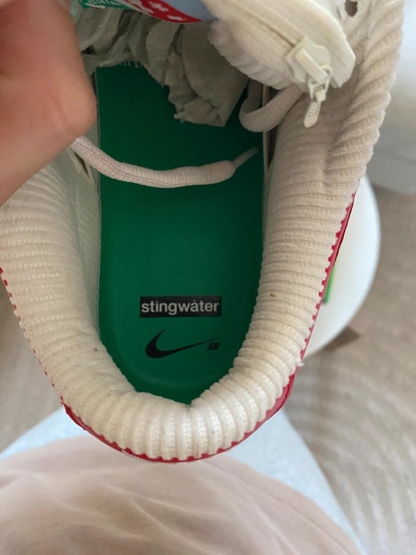 Nike SB Dunk Low Stingwater Magic Mushroom 2