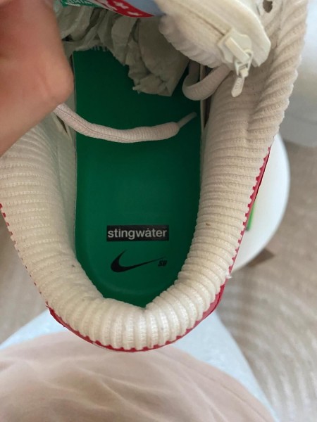 Nike SB Dunk Low Stingwater Magic Mushroom