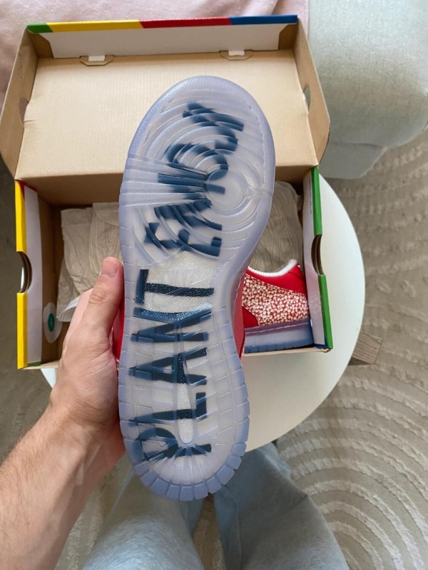 Nike SB Dunk Low Stingwater Magic Mushroom 2