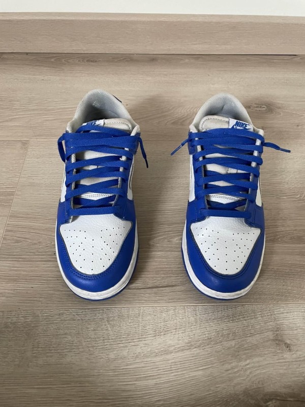 nike dunk low 2