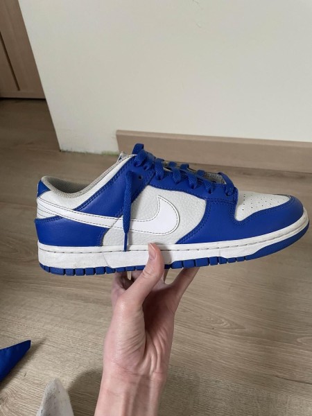 nike dunk low