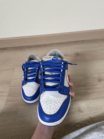nike dunk low
