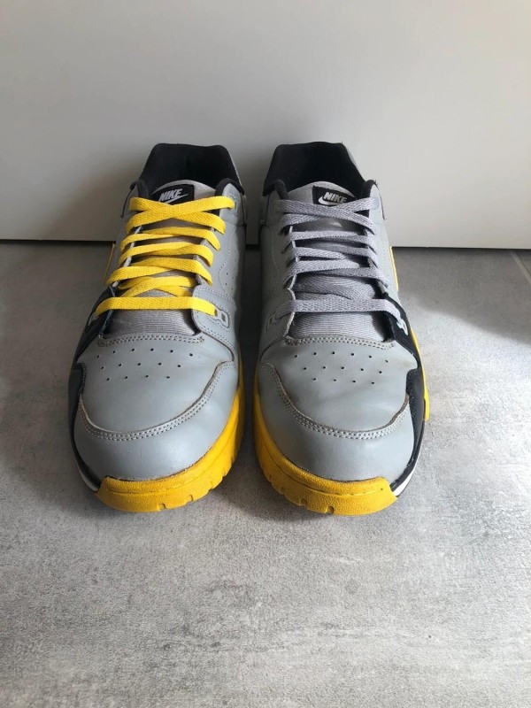 Nike cross trainer 2