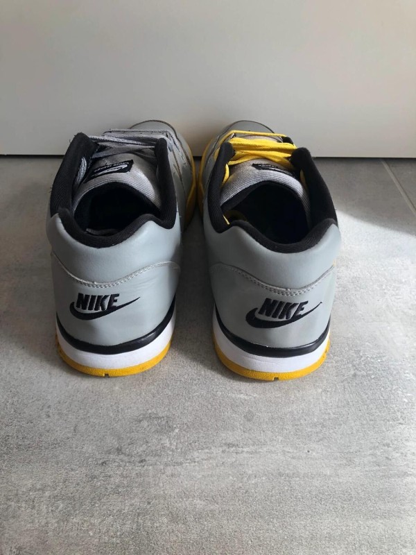 Nike cross trainer 2