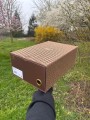 Converse Shai 001 Lux Truffle - Taille 45