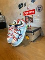 Nike dunk low lot 23