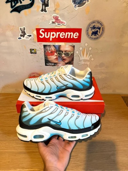 Nike Air Max Plus Baltic blue