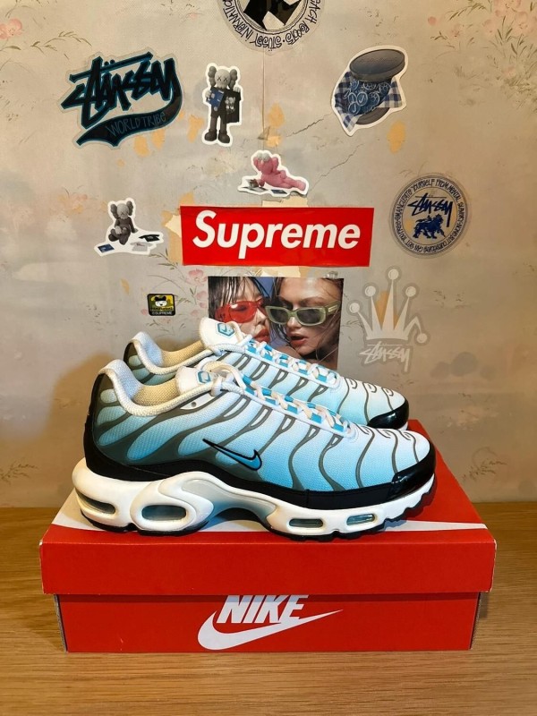 Nike Air Max Plus Baltic blue 2