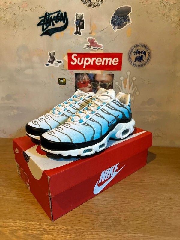 Nike Air Max Plus Baltic blue 2