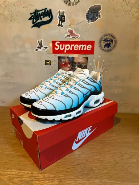 Nike Air Max Plus Baltic blue