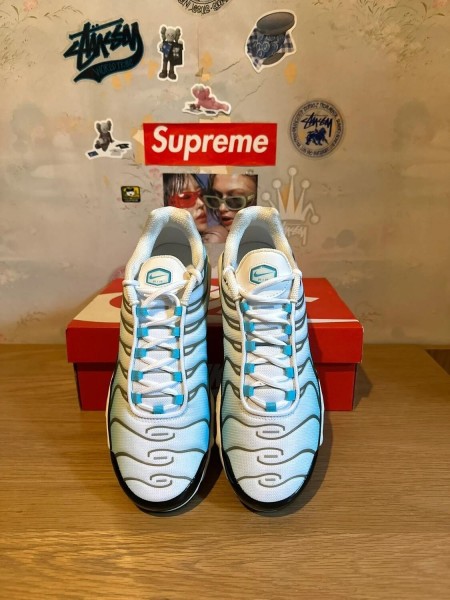 Nike Air Max Plus Baltic blue