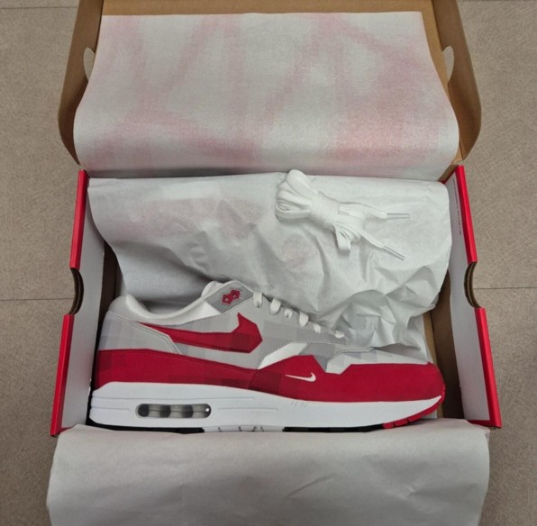 Air Max 1 "Low Poly"