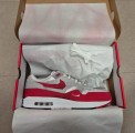 Air Max 1 "Low Poly"
