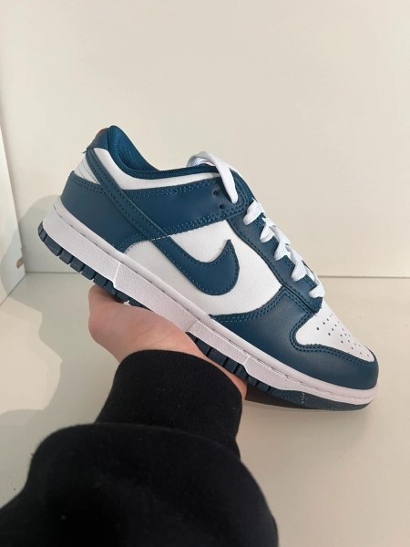 Nike Dunk Low Valerian Blue