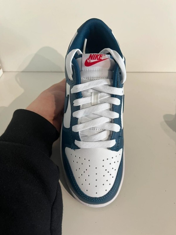 Nike Dunk Low Valerian Blue 2