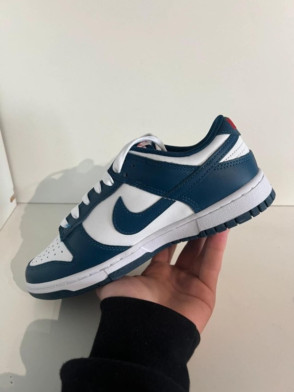 Nike Dunk Low Valerian Blue 2