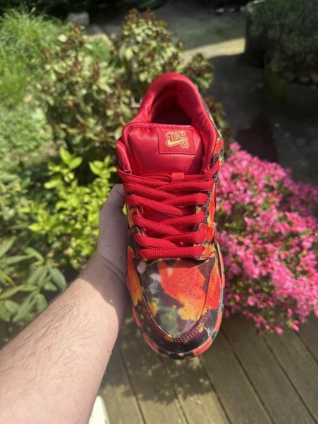 Nike SB Dunk Low Wizard of OZ / Le Magicien d’OE