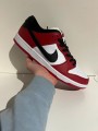 Nike SB Dunk low J-pack Chicago