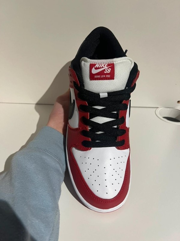 Nike SB Dunk low J-pack Chicago 2