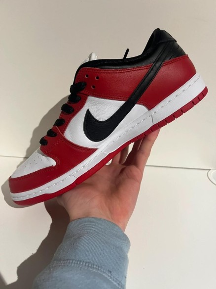 Nike SB Dunk low J-pack Chicago