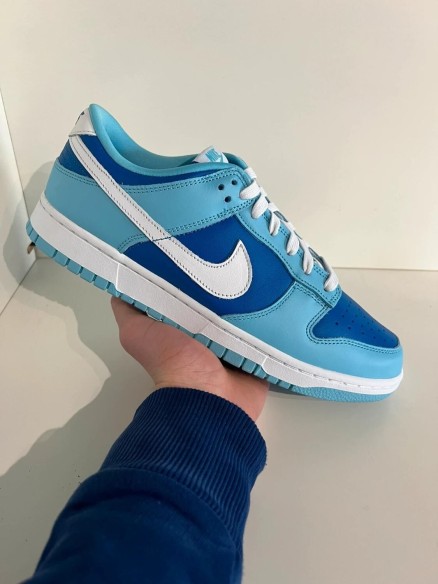 Nike Dunk low argon (2022)