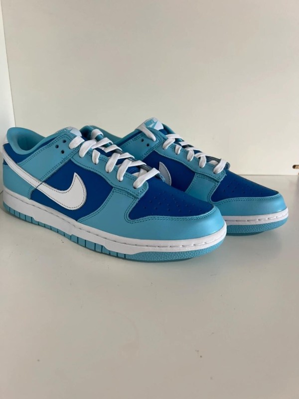 Nike Dunk low argon (2022) 2