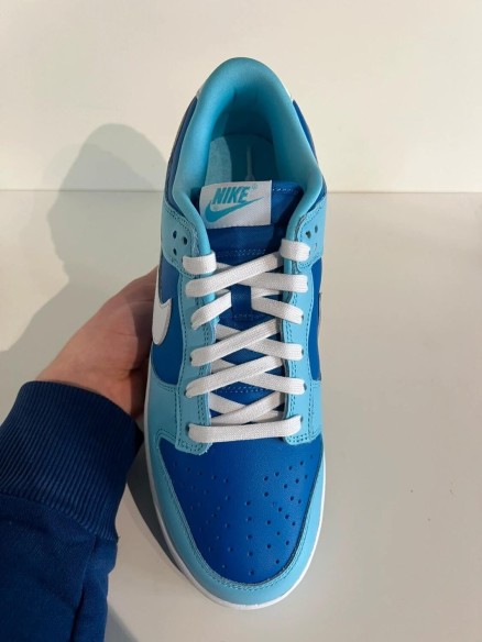 Nike Dunk low argon (2022)