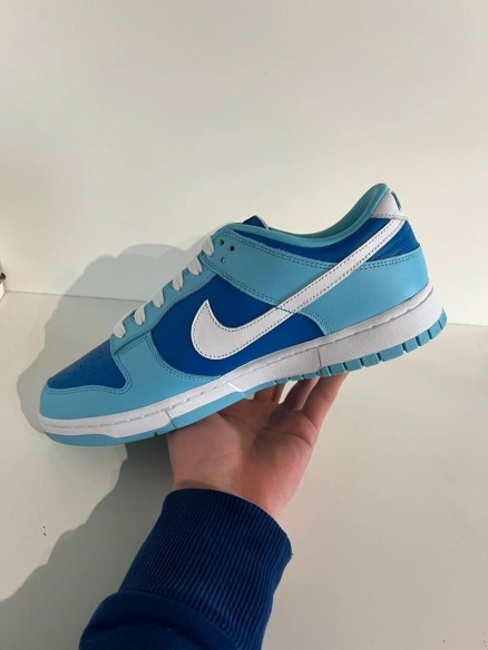 Nike Dunk low argon (2022)