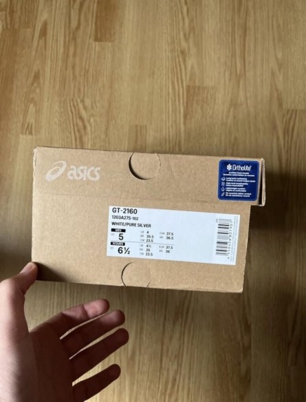 Asics gt 2160 white pure silver