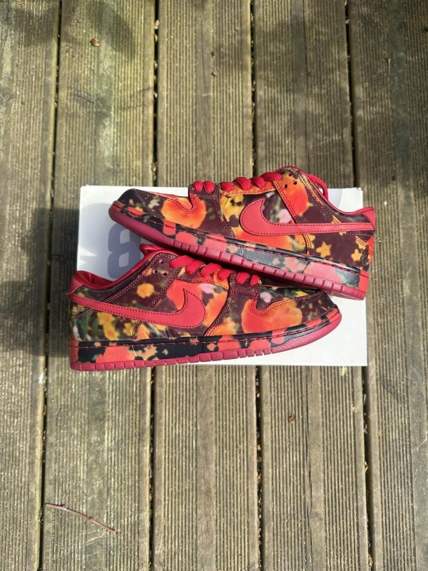 Nike SB Dunk Low Wizard of OZ / Le Magicien d’OE 2
