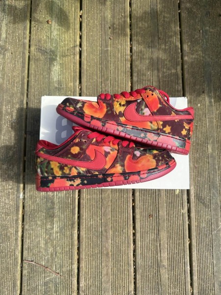 Nike SB Dunk Low Wizard of OZ / Le Magicien d’OE