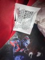 Nike SB Dunk Low Wizard of OZ / Le Magicien d’OE