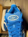 Campus 00s blue bird