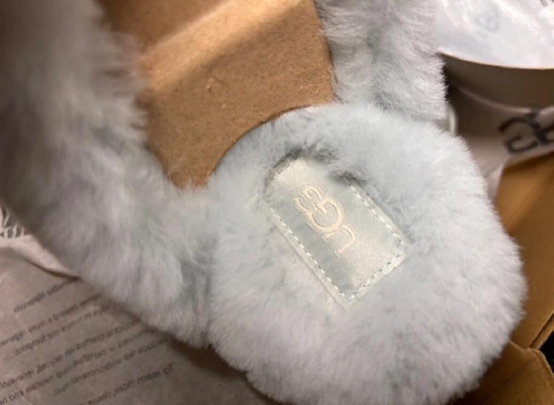 UGG disquette slipper goose 2