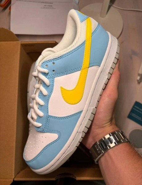 Dunk low homer