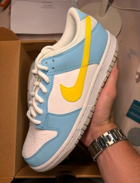 Dunk low homer