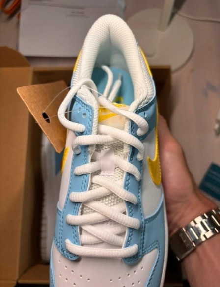 Dunk low homer