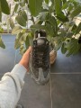 Nike air max 95 Corteiz