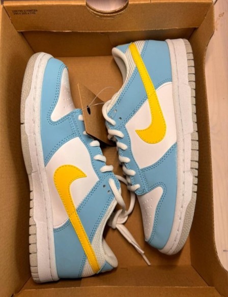 Dunk low homer