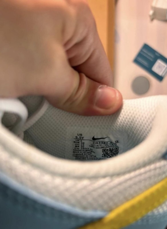 Dunk low homer 2