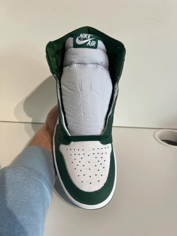 Nike air jordan 1 high gorge green 2