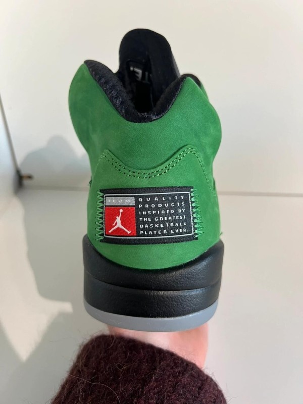 Nike air jordan 5 oregon SE 2