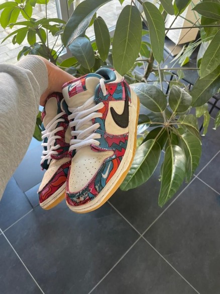 Nike SB dunk low Parra (2021)