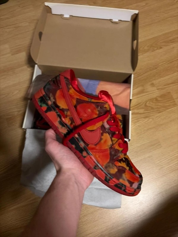 Nike sb wizard of oz taille 43