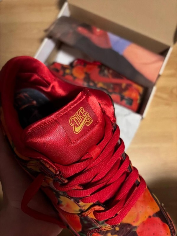 Nike sb wizard of oz taille 43 2